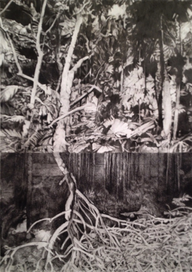 SWAMP, 2014, charcoal on paper, 50x35cm